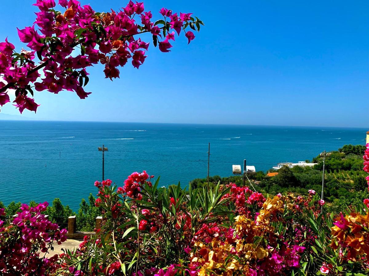 La Finestra Sul Duomo, Amalfi Coast Appartement Vietri Buitenkant foto